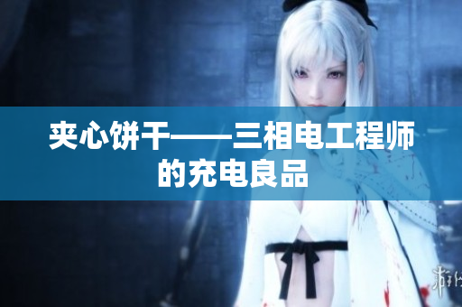 夹心饼干——三相电工程师的充电良品