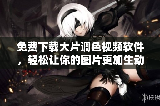 免费下载大片调色视频软件，轻松让你的图片更加生动形象