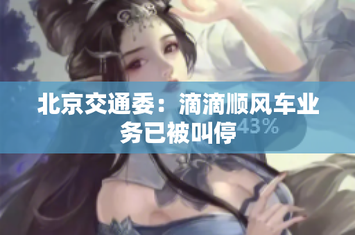 北京交通委：滴滴顺风车业务已被叫停