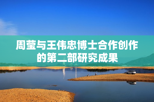 周莹与王伟忠博士合作创作的第二部研究成果