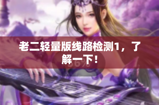 老二轻量版线路检测1，了解一下！