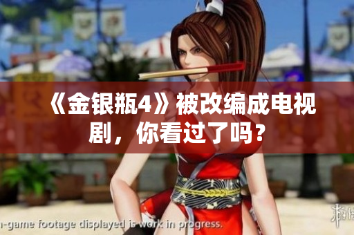 《金银瓶4》被改编成电视剧，你看过了吗？