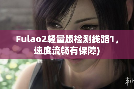 Fulao2轻量版检测线路1，速度流畅有保障)