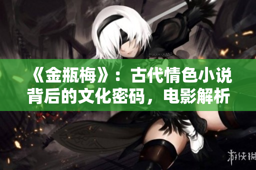 《金瓶梅》：古代情色小说背后的文化密码，电影解析