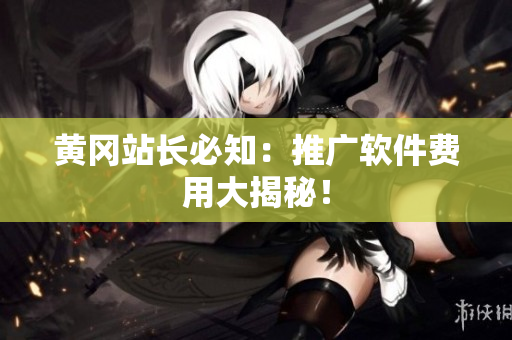 黄冈站长必知：推广软件费用大揭秘！