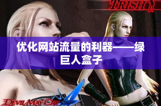 优化网站流量的利器——绿巨人盒子