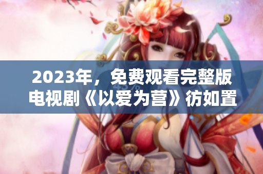 2023年，免费观看完整版电视剧《以爱为营》彷如置身其中