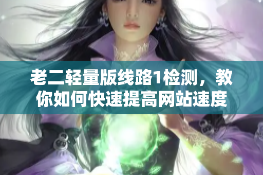 老二轻量版线路1检测，教你如何快速提高网站速度