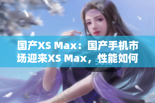 国产XS Max：国产手机市场迎来XS Max，性能如何？