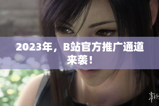 2023年，B站官方推广通道来袭！