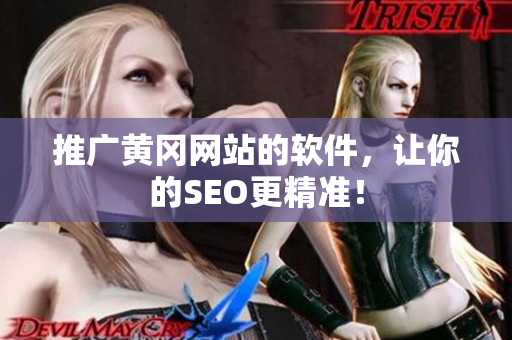 推广黄冈网站的软件，让你的SEO更精准！