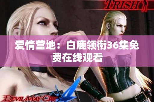 爱情营地：白鹿领衔36集免费在线观看