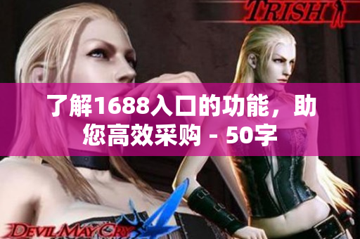 了解1688入口的功能，助您高效采购 - 50字