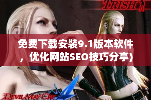 免费下载安装9.1版本软件，优化网站SEO技巧分享)