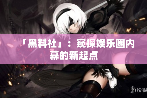 「黑料社」：窥探娱乐圈内幕的新起点