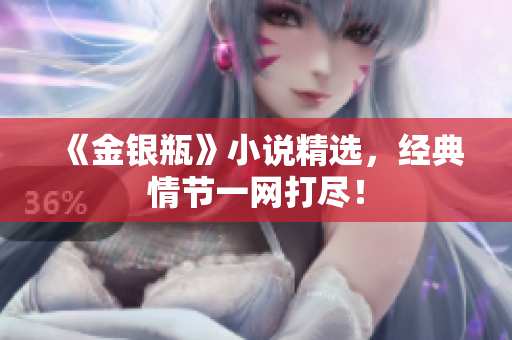 《金银瓶》小说精选，经典情节一网打尽！