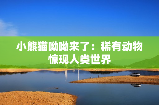 小熊猫呦呦来了：稀有动物惊现人类世界