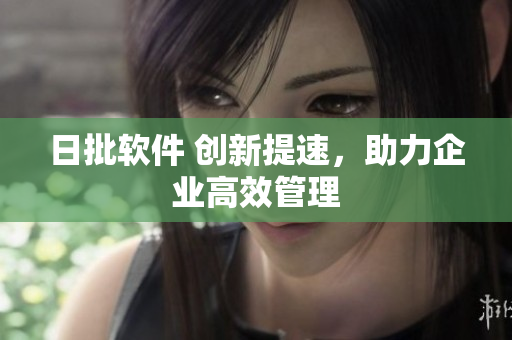 日批软件 创新提速，助力企业高效管理