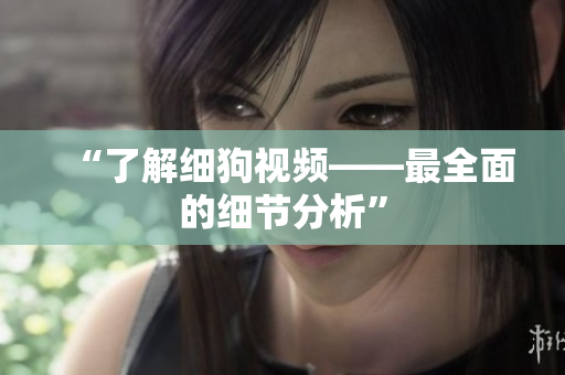 “了解细狗视频——最全面的细节分析”