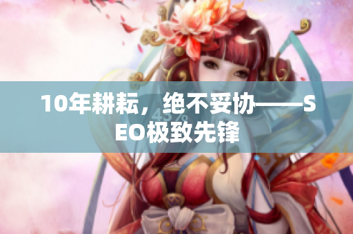 10年耕耘，绝不妥协——SEO极致先锋