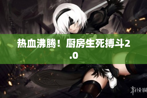 热血沸腾！厨房生死搏斗2.0