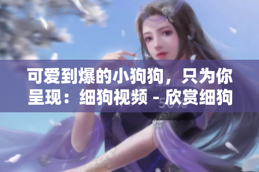 可爱到爆的小狗狗，只为你呈现：细狗视频 - 欣赏细狗视频，萌翻你的视觉盛宴！
