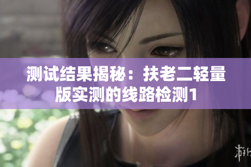 测试结果揭秘：扶老二轻量版实测的线路检测1