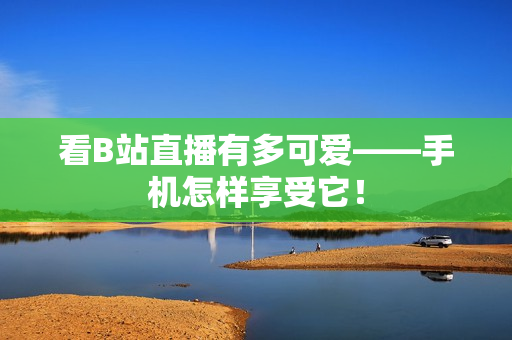 看B站直播有多可爱——手机怎样享受它！
