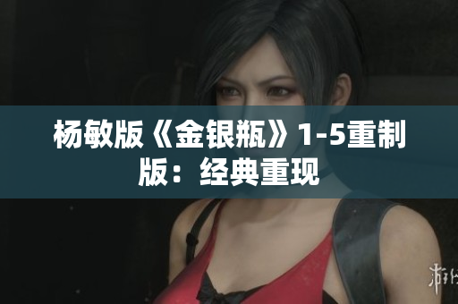 杨敏版《金银瓶》1-5重制版：经典重现