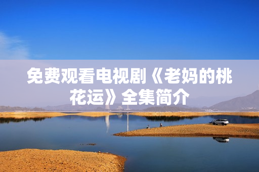 免费观看电视剧《老妈的桃花运》全集简介