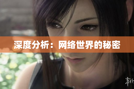 深度分析：网络世界的秘密