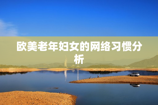 欧美老年妇女的网络习惯分析