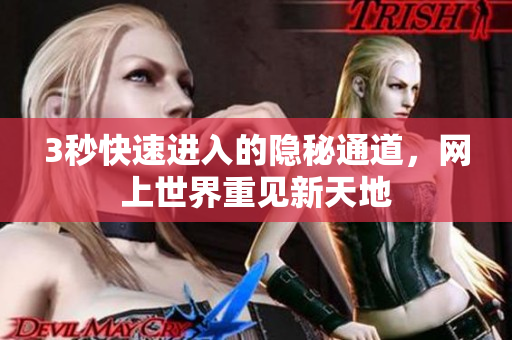 3秒快速进入的隐秘通道，网上世界重见新天地