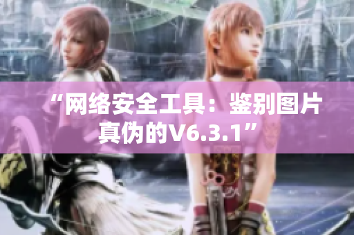 “网络安全工具：鉴别图片真伪的V6.3.1”