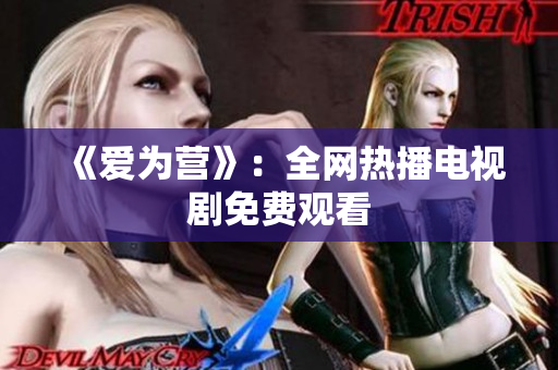 《爱为营》：全网热播电视剧免费观看