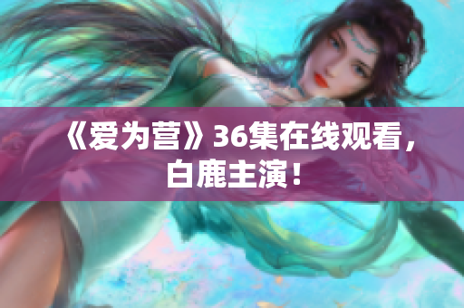 《爱为营》36集在线观看，白鹿主演！