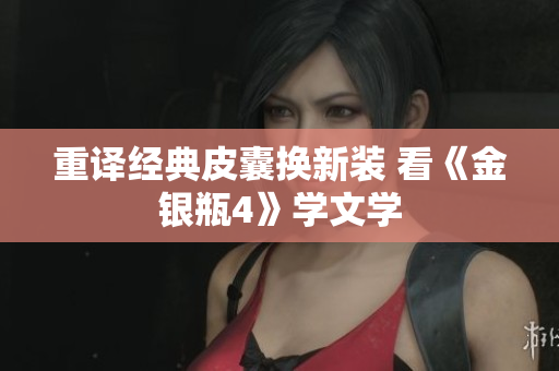 重译经典皮囊换新装 看《金银瓶4》学文学