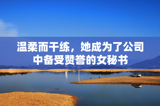 温柔而干练，她成为了公司中备受赞誉的女秘书