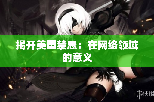 揭开美国禁忌：在网络领域的意义