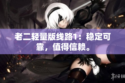 老二轻量版线路1：稳定可靠，值得信赖。