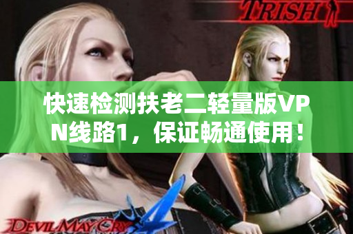 快速检测扶老二轻量版VPN线路1，保证畅通使用！