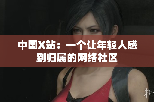 中国X站：一个让年轻人感到归属的网络社区