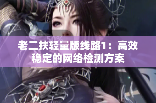 老二扶轻量版线路1：高效稳定的网络检测方案