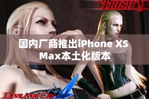 国内厂商推出iPhone XS Max本土化版本