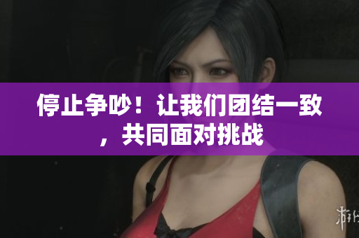 停止争吵！让我们团结一致，共同面对挑战
