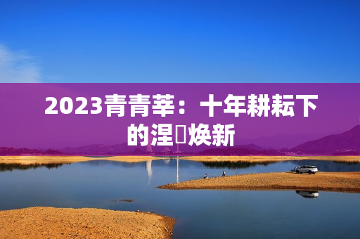 2023青青莘：十年耕耘下的涅槃焕新