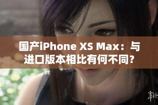 国产iPhone XS Max：与进口版本相比有何不同？