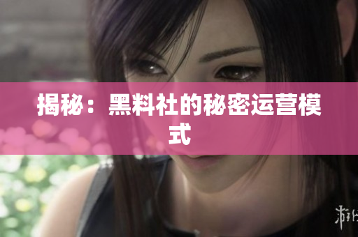 揭秘：黑料社的秘密运营模式
