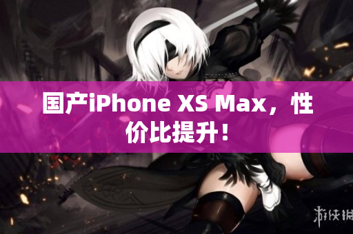 国产iPhone XS Max，性价比提升！