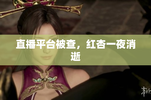 直播平台被查，红杏一夜消逝